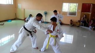 Japan Karate Association Cebu Philippines [upl. by Maurer]