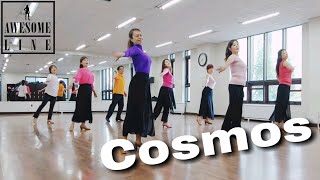 Cosmos Line Dance  Junghye YoonKOR High Beginner Level [upl. by Rimat]