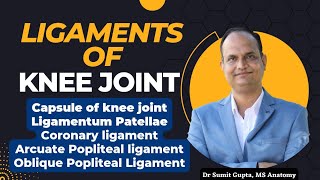 LIGAMENTS OF KNEE JOINT  Part 1 [upl. by Nnahtur85]