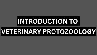 VETERINARY PROTOZOOLOGY [upl. by Felipa]