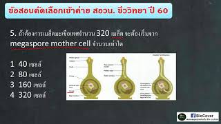 เฉลยข้อสอบ สอวน ชีวะ ปี 60 ข้อ 5  megaspore mother cell [upl. by Roselyn]