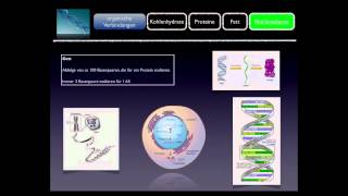 Basiskurs BiochemieChemie Nukleinsäuren Teil 1010 [upl. by Egwin304]