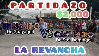 LA REVANCHA PARTIDAZO 😱 PEINADITO 🆚 CACHORRO ⚡2000 💵 FULL APUESTAS 💪🏐 [upl. by Levin879]