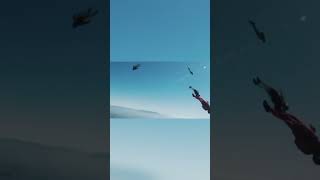 Skydiving Gone Wrong [upl. by Esinert]