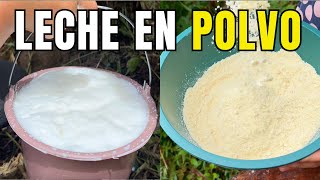 El Secreto Para Hacer la LECHE en POLVO Perfecta [upl. by Atinuhs455]