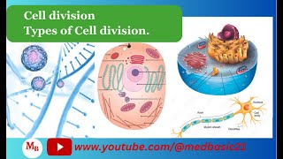 Cell division  Overview of cell division  Cell cycle and Cell division  Mitosis and Meiosis [upl. by Shelagh]