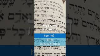 35 quotEllosquot הֵ֫מָּה Ellos PronombresHebreos HebreoBíblico biblicalhebrew [upl. by Bisset]