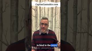 CBD vs THC Effects on the Body  Dr Ben Caplan CBDvsTHC [upl. by Ymaral]