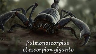 Pulmonoscorpius el escorpión gigante🦂🏴󠁧󠁢󠁳󠁣󠁴󠁿 [upl. by Charlet883]