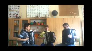 One Direction  One Way Or Another Crazy Accordion Trio Cover [upl. by Valerio]