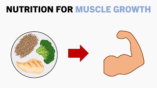 Complete Nutrition for Muscle Growth [upl. by Ojahtnamas819]