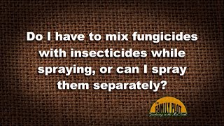 QampA  Do I have to mix fungicides and insecticides when spraying [upl. by Joceline]