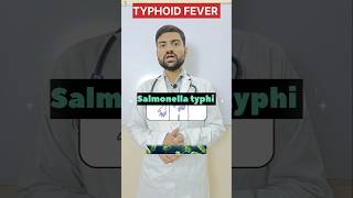 Typhoid Fever 🤒Treatment Typhoid Symptoms shorts viralvideo studentlife motivation neet [upl. by Darin984]