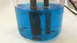 Timelapse of copper sulfate electrolysis [upl. by Nissensohn]