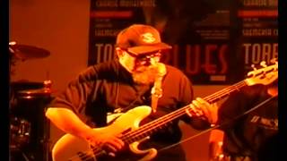 canned heat Live  Torrita Blues 2000 [upl. by Rahr]