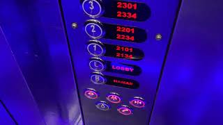 2 Generic Elevators at Le Bleu Hotel amp Resort Kusadasi Turkey Main [upl. by Arerrac]