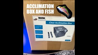 Unboxing an Acclimation Box and Fish [upl. by Inafets]