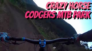 Crazy Horse  Codgers MTB Park Nelson New Zealand August 2023 [upl. by Eedyaj155]