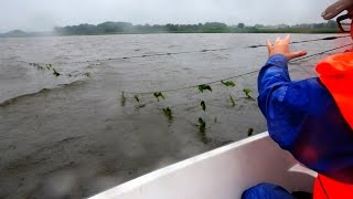 Garnrøgtning Randers Fjord i Regnvejr Djursland [upl. by Navi274]