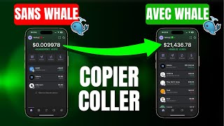 Comment trouver les wallets des meilleurs Traders memecoins et copier leurs positions [upl. by Sinclair]