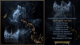 REPLICANT US  Malignant Reality FULL ALBUM STREAM Death Metal Transcending Obscurity [upl. by Nilo]