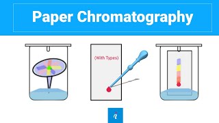 Paper Chromatography with animation [upl. by Merla618]