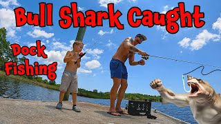 Baby Bull Shark Caught Off of Dock fishing [upl. by Edijabab]