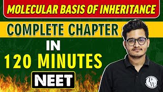 MOLECULAR BASIS OF INHERITANCE in 120 Minutes  Complete Chapter for NEET [upl. by Avitzur]