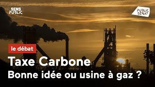 Taxe carbone  bonne idée ou usine à gaz [upl. by Cobb]