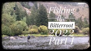 Fly Fishing the Bitterroot 2022 Part I [upl. by Naivat]