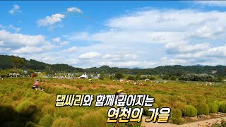 연천에서 만나는 최고의 가을 ‘임진강 댑싸리 정원’의 아름다움★ [upl. by Camm893]