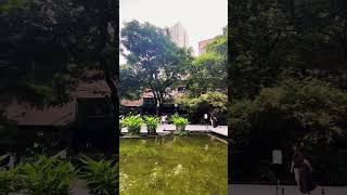 Greenbelt Park Makati City Philippine Family Vacation Diary July 5 2024 [upl. by Neelram815]