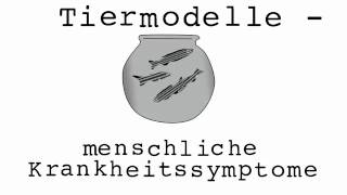 Zellen als Krankheitsmodelle [upl. by Harl]