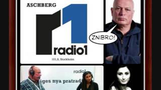 Aschberg  Radio1  Jaris elefantbössa på Suezkanalen [upl. by Llenahc]