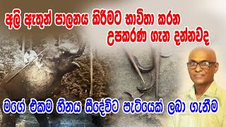 උපාධියෙන් ලැබූ රැකියාව පසකලා අලි ඇතුන් වෙනුවෙන් තම ජීවිතය කැප කරන අපූරුතර මිනිසා වරැණ HELADEEPATV [upl. by Leyes]