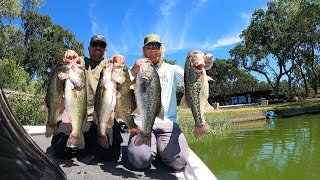 Clear Lake Fishing Report June 1 2024 [upl. by Mcdowell]