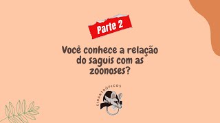 Você conhece a relação do saguis com as zoonoses  parte 2 [upl. by Tsirhc]