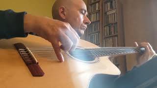 Dowina Power Hybrid Nylon Acoustic Guitar Demo  Home [upl. by Aleil]