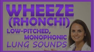 Wheezes Lung Sounds Monophonic Rhonchi Breath Sounds Abnormal Sonorous Wheeze [upl. by Iasi704]