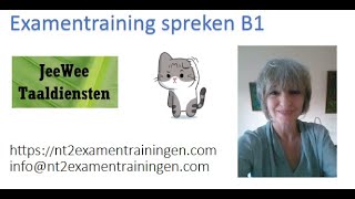 Oefenvideo Staatsexamen spreken B1 [upl. by Gebelein]