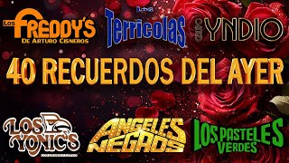 TERRICOLAS YONICS ANGELES NEGROS FREDDYS PASTELES VERDESSOLITARIOS🤠 RECUERDOS DEL AYER MIX [upl. by Ahgem]