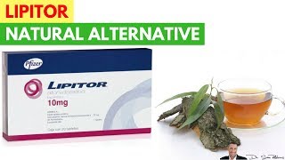 💊 Natural amp Clinically Proven Alternatives To Lipitor  by Dr Sam Robbins [upl. by Aneleairam]