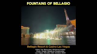 WHATS IN THE BELLAGIO RESORT amp CASINO IN LAS VEGAS [upl. by Haridan]