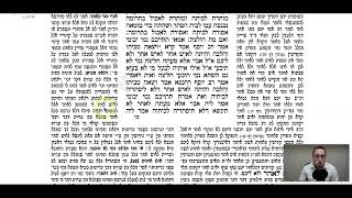 Sotah Daf 5b Daf Yomi Gemara Talmud Meseches Sotah [upl. by Alfi311]