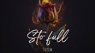 Totem  Sto full [upl. by Ahsyekal]