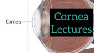 Cornea lectures part 7 Eye  ophthalmology lectures eyelectures opthalmology eye cornea [upl. by Valerio]