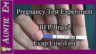 Pregnancy Test Experiment  Evap Line Test  BFP Brand [upl. by Ymot]