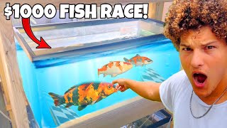 I Built RACE TRACK For My PET FISH 1000 Bet [upl. by Nahaj]