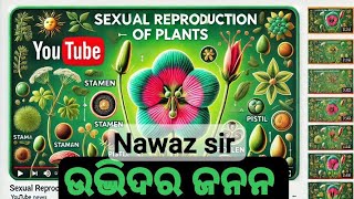 Sexual Reproduction of Plants  Pollination  biology class [upl. by Ella945]