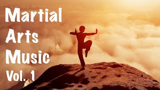 1 HOUR RELAXED ASIAN MARTIAL ARTS MUSIC [upl. by Iahc552]